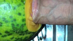 Penetrating a Tight Papaya that's been Pre-warmed to Human Body Temperature