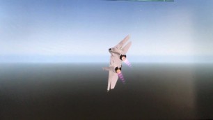 Enemy Viggen Gets Wiped out by Supersonic F-14 Tomcat Xplane 10
